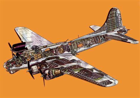 Boeing B-17 Flying Fortress Cutaway Drawing in High quality