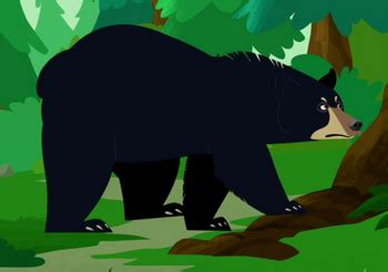 American Black Bear | Wild Kratts Wiki | Fandom