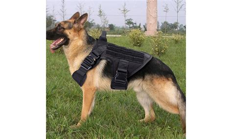 Up To 25% Off on US Tactical Police K9 Trainin... | Groupon Goods