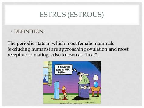 Animal Reproduction PP Part 1 - Presentation Plants, Animals, and Ecosystems