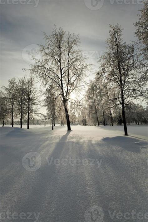 Winter Park with snow. 9659070 Stock Photo at Vecteezy