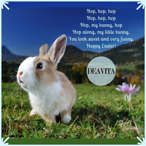 Funny Easter Bunny Messages - Funny Easter Bunny Sayings | Bodenowasude