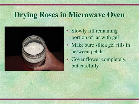 PPT - Drying Roses by Cindy Garrett PowerPoint Presentation, free ...