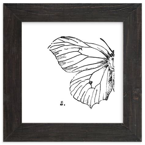 Moth No. 2 Art Print | Art, Art prints, Limited edition art print