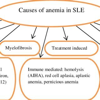 (PDF) Hematological Disorders in Patients with Systemic Lupus Erythematosus