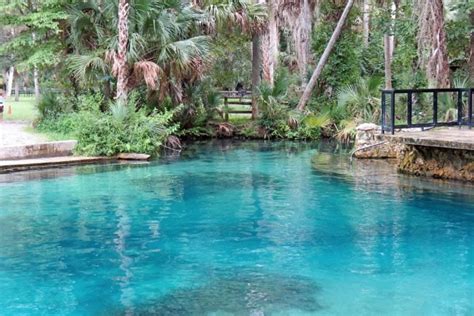 Alexander Springs, Florida | Florida springs, Ocala national forest ...