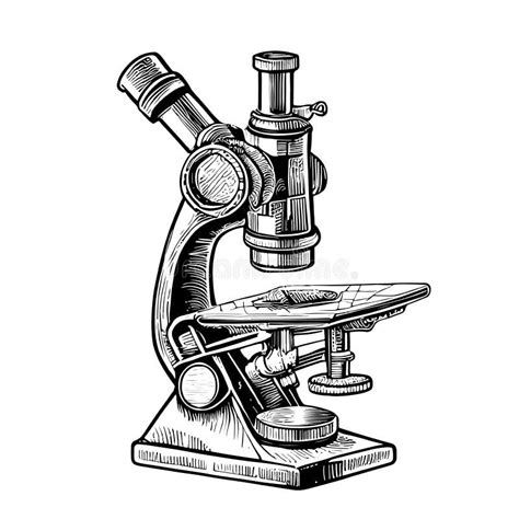 Vintage Microscope Realistic Hand Drawn Sketch Stock Vector ...