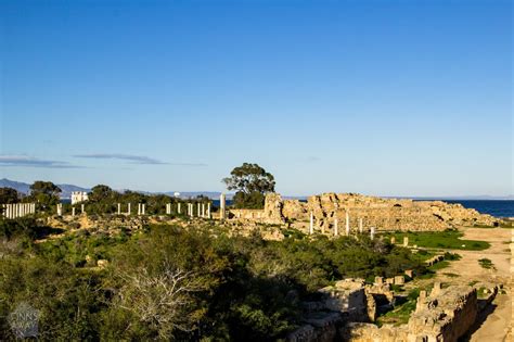 Sights in Cyprus: Ancient Salamis | FinnsAway travel blog