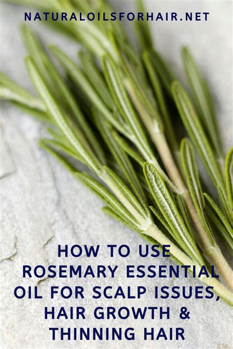 Rosemary Oil for Scalp Issues, Hair Growth & Thinning Hair in 2021 | Essential oils rosemary ...