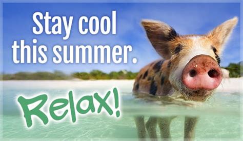 Stay Cool - Relax eCard - Free Summer Cards Online