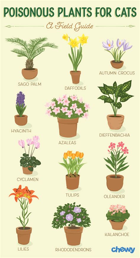 Are Azalea Plants Poisonous To Cats And Dogs