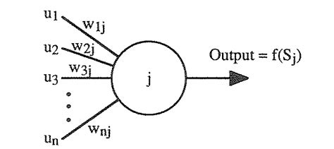 An artificial neuron | Download Scientific Diagram