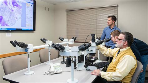 Biomedical engineering students help advance digital microscope ...