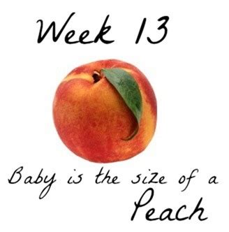 My Pregnancy Journal: Week 13 - {Not Quite} Susie Homemaker