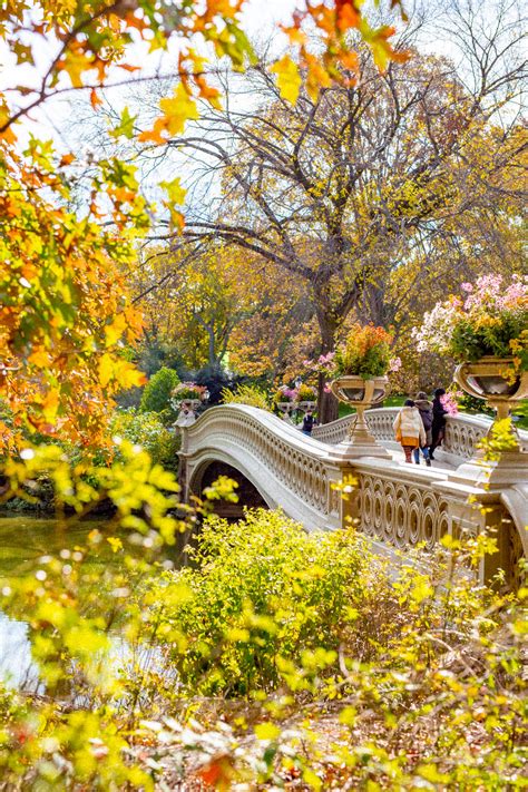 12+ Epic Spots to See Fall Foliage in Central Park - New York Simply