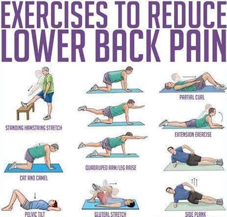 For Weight Here Are The Best Stretches For Lower Back Pain - For Weight