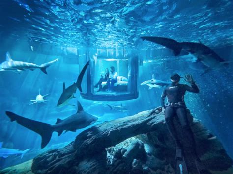 Coolest Underwater Hotel Rooms - Business Insider