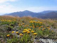 Landforms - Australia