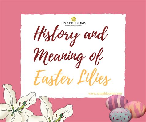 History and Meaning of Easter Lilies - SnapBlooms Blogs