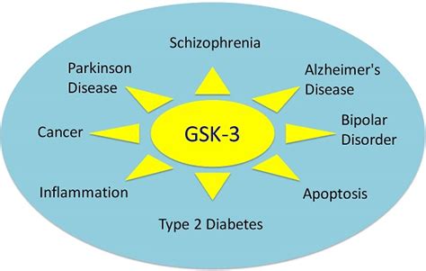 Glycogen Synthase Kinase-3 (GSK-3)-Targeted Therapy and Imaging