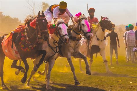 #FACES | The Vibrant Spirit of The Sikh Hola Mohalla Festival in Punjab by Gursimran Singh ...