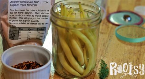 Four Ways of Preserving Food At Home - Rootsy Network