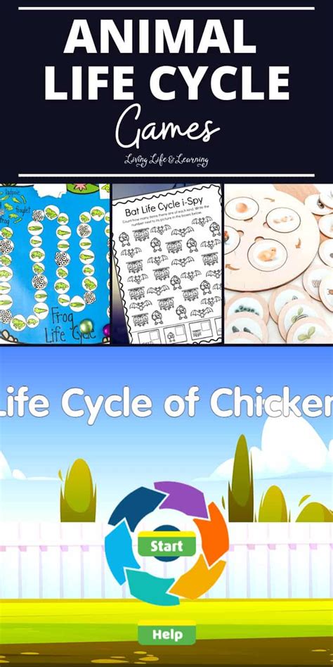 Animal Life Cycle Games