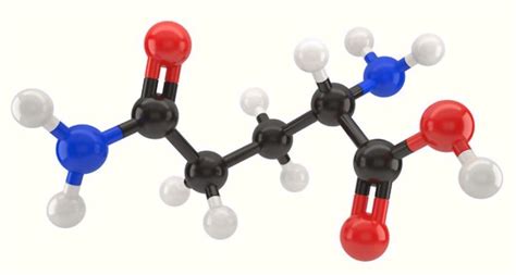 amino acid 3d structure