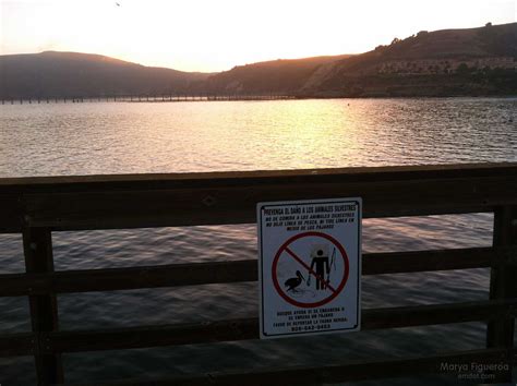 Avila Beach Pier - emdot