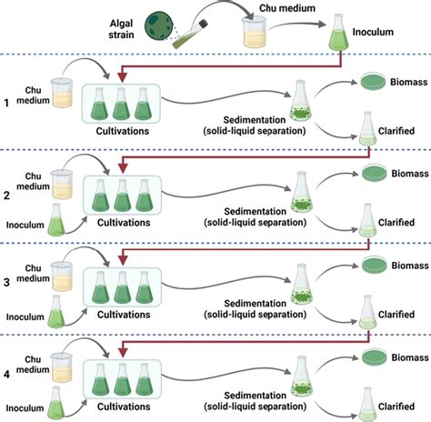 Process flowchart of microalgae culture recycling. Steps: (1) standard... | Download Scientific ...