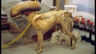 Xenomorph Dog Costume