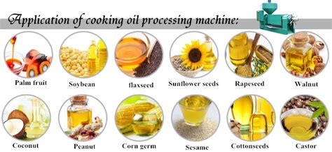 Which kinds of oil seeds can be used to make cooking oil?_Blog