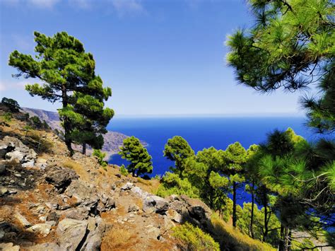 Hiking Canary Islands - All You Need to Know