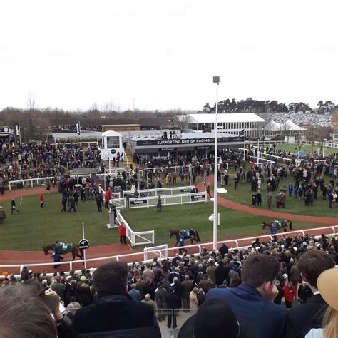 Cheltenham Festival: All You Need to Know BEFORE You Go