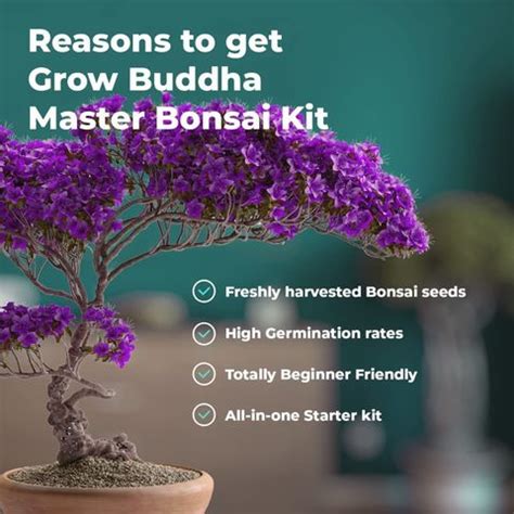 Buy Wholesale China Ndoor Herb Garden Starter Kit - Certified Usda ...