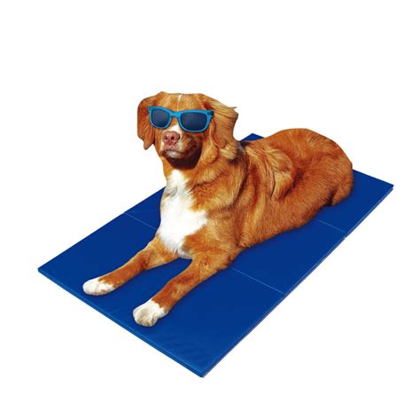 Reusable & Waterproof Pet Cooling Gel Mat Dog Pad/Summer Cool Mat - Dog ...