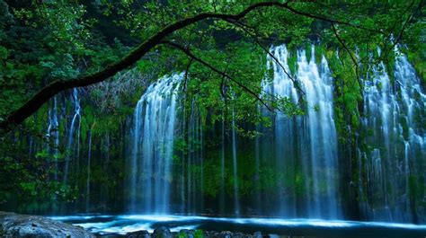 Живые обои природа - Green Waterfall