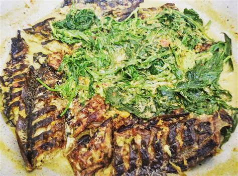 Resepi Ikan Sembilang Salai Masak Lemak Cili Api - Resep Masakan Khas