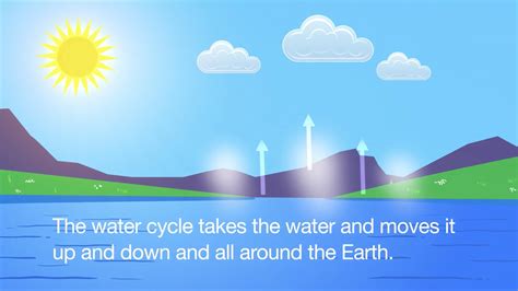 Water Cycle Song | Water cycle song, Water cycle, Water cycle for kids