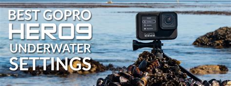 GoPro HERO 9 Best Underwater Photography Settings - Underwater Photography - Backscatter