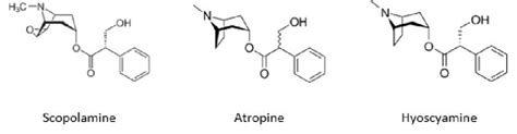 Chemical structures of the primary plant derived Tropane Alkaloids... | Download Scientific Diagram