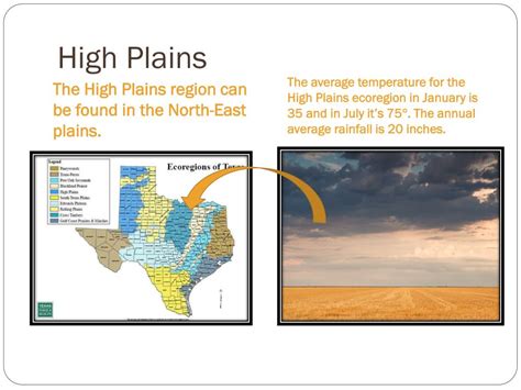 PPT - Ecoregions of Texas PowerPoint Presentation, free download - ID:6525785