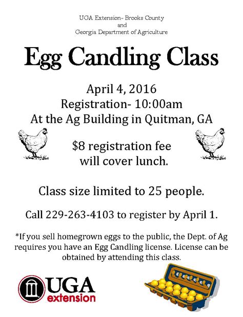 GDA Egg Candling Class on April 4th | Brooks County Ag Connection