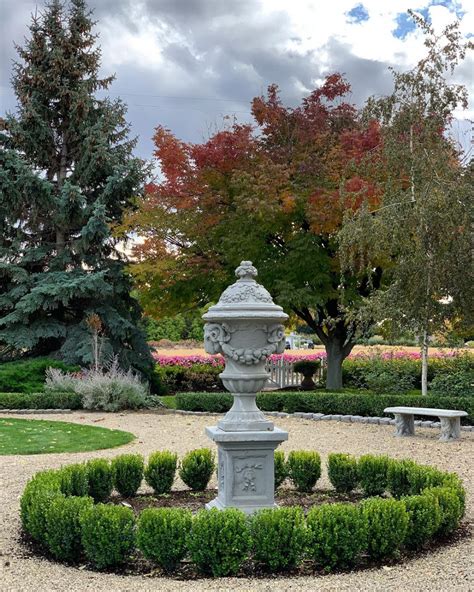 I just love this view when the ash tree starts to color up! 🍂🌳 | Garden ...