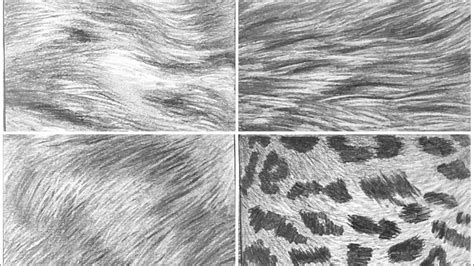 Animal Hair Texture