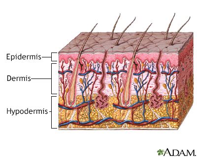 The 20 Best Cellulitis Doctors Near Me | MediFind