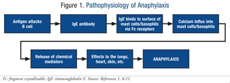 Hospital-Acquired Anaphylaxis