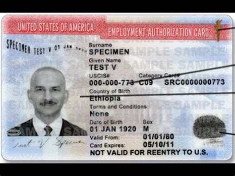 Employment Authorization Document (EAD) - YouTube