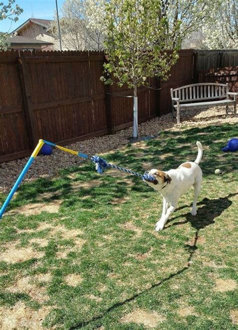 22 Easy DIY Dog Playground Ideas For Small Backyard | Housetodecor.com