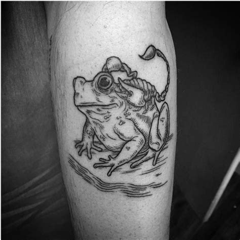 The scorpion and the frog. Kaylie Seaver InkSpot Ottawa Canada. Photo ...